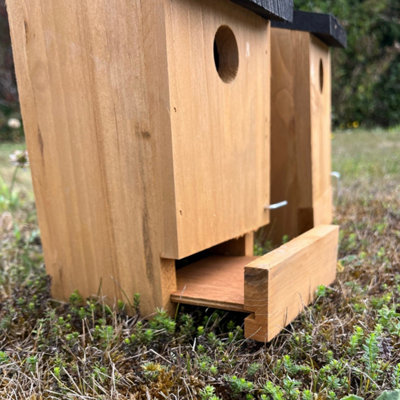 Traditional Wooden Bird Nest Box Birdhouses with Removable Bases (Set of 4) - 5