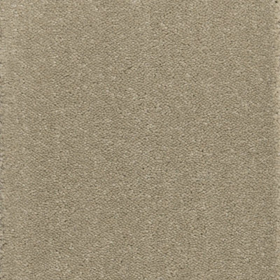 Tranquillity "Gold" Bleach Cleanable Carpet by Remland (Nude, 2m x 4m)