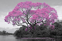Tree Blossom 61 x 91.5cm Maxi Poster
