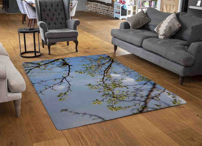 Tree Branches & Sky Rug / Medium: 80x150cm