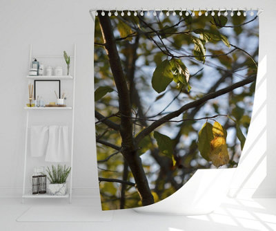 Tree leaves in the sunshine nature photography, leaves and branches (Shower Curtain) / Default Title Price Comparisons | Compare The Build