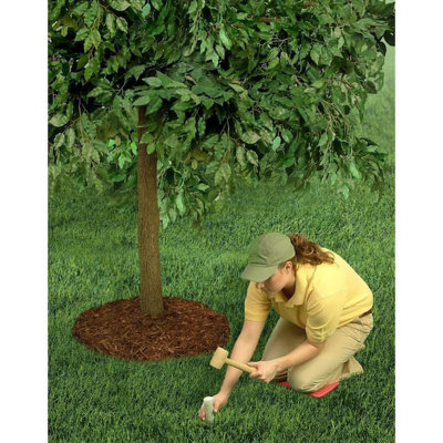 Tree & Shrub Large Fertiliser / Fertilizer Large Spikes Slow-Release ...