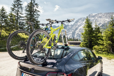 TreeFrog Pro 2 Plus Bike Carrier Rack - Vacuum Mounted - Quick Release