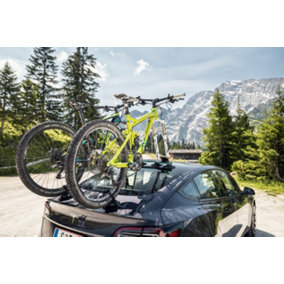 TreeFrog Pro 2 Plus Bike Carrier Rack - Vacuum Mounted - Quick Release