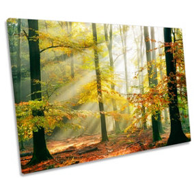 Trees Sun Rays Forest Landscape Yellow CANVAS WALL ART Print Picture (H)30cm x (W)46cm