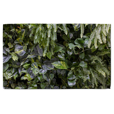 Trend biophilic design. Wall from plants, vertical garden,urban jungle, modern interior decoration (Bath Towel) / Default Title Price Comparisons | Compare The Build
