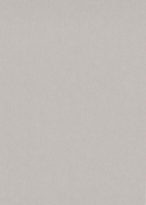 Trendy uniNonwoven wallpaper in taupe - 10,05 x 0,53 m