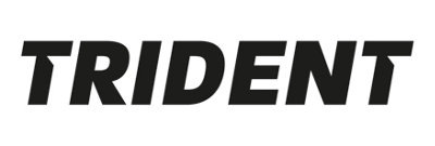 Trident Trident Electric Radiator Inhibitor - 250ml