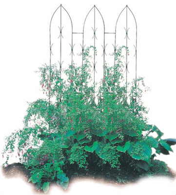 Triple Gothic Screen - Decorative Garden Screen, Plant Support - Solid ...