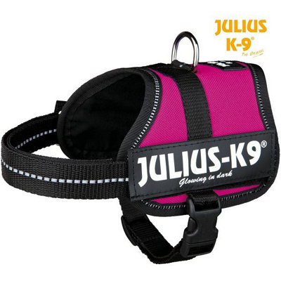 Julius top k9 colours