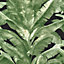 Tropical Green & Black Jungle Palm Wallpaper TR5200