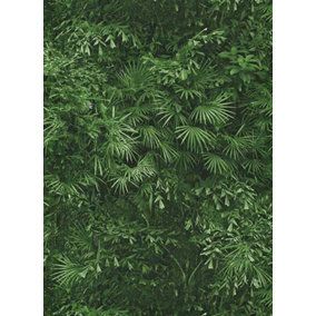 Tropical Leaf Jungle Wallpaper Leaves Forest Textured Paste Wall Vinyl Erismann