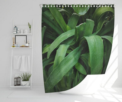 Tropical leaves closeup, Greenhouse, Atmospheric background, Selective focus (Shower Curtain) / Default Title Price Comparisons | Compare The Build