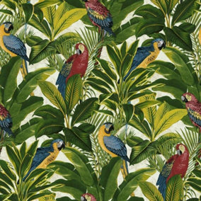 Tropical Leaves Exotic Bird Parrot Wallpaper Floral Red Blue Yellow Green Jungle