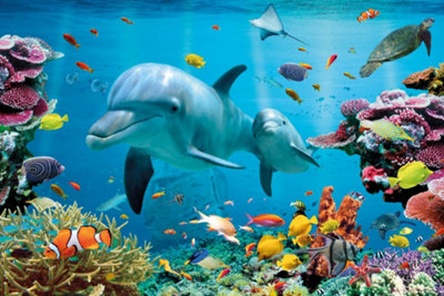 Tropical Ocean 61 x 91.5cm Maxi Poster