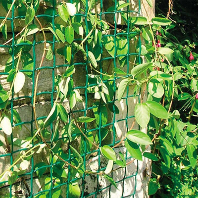True Products Climbing Plant Support Mesh Pea Bean Garden Trellis - 50mm x 50mm - Green - 0.5m x 25m
