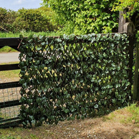 True Products Expanding Willow Trellis Fence with Artificial Maple Leaf Plants Garden Wall Screening