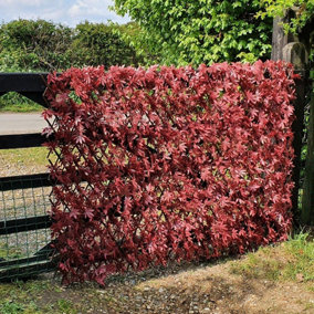 True Products Expanding Willow Trellis Fence with Artificial Red Acer Leaf Plants Garden Wall Screening