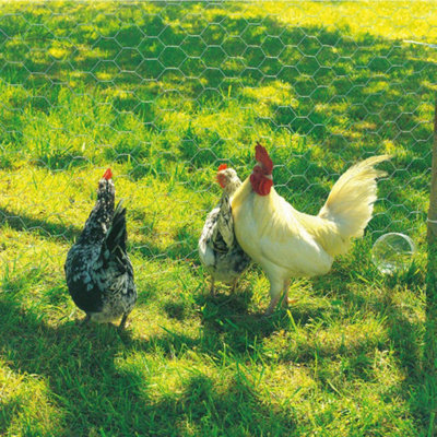 True Products Galvanised Chicken Wire Netting  - Rabbit Poultry Pet Garden Fence 25mm Mesh - 0.9m x 10m