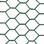 True Products Green PVC Coated Galvanised Chicken Wire Netting  - Rabbit Poultry Pet Garden Fence 25mm Mesh - 0.5m x 10m