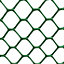 True Products Green Rigid Plastic Mesh Garden Fence - 25mm x 28mm Hexagon Mesh - 1m x 12m