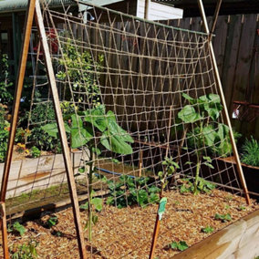 True Products Jute Heavy Duty Pea & Bean Netting For Climbing Plants 100% Natural & Biodegradable 100mm - 2m x 5m