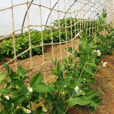 True Products Jute Heavy Duty Pea & Bean Netting For Climbing Plants 100% Natural & Biodegradable 50mm - 1m x 5m