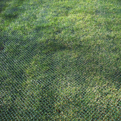 True Products Standard Grass Reinforcement Stabilisation Mesh 450gsm - 1m x 10m - 4
