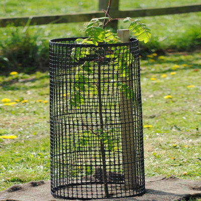 True Products Tree Guard Protection - 50m Roll - Black - 0.6m x 50m
