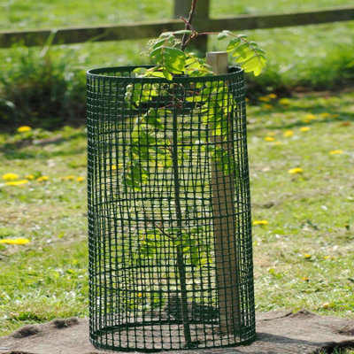 True Products Tree Guard Protection - 50m Roll - Green - 0.6m x 50m