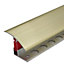 TTC 40mm Aluminium door Threshold T Bar Trim Adjustable Height/Pivots Easy clip - Brass Effect