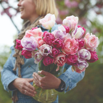 Tulip Florist's Treat Mixed 32 Bulbs (Size 11/12)