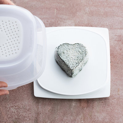 海外ブランド  Tupperware Cheesmart Max- Square 浄水器・整水器