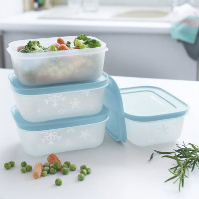 保存容器・ケース tupperware FREEZER MATES & Caribbean Amazon.com: Tupperware Freezer Mate Container (650Ml), Set