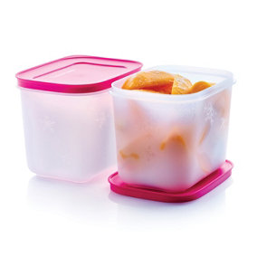 Tupperware Essentials Freezer Mates Tall Container Set  1.1 L 2 Piece Set