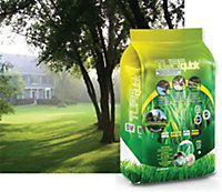 Turfquick Shadow Beautiful Dense Lawn Grass Garden Seed Biodegradable Roll Out Lawn Mat -10m2