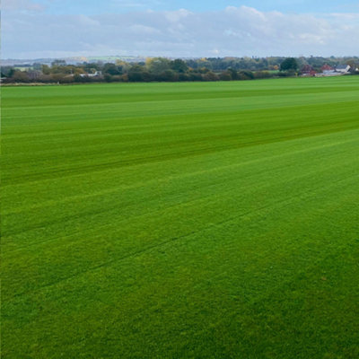 TurfWorld Premium Signature Lawn Turf 10m²