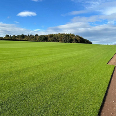 TurfWorld Premium Signature Lawn Turf 10m²