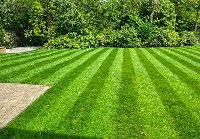 TurfWorld Premium Signature Lawn Turf 15m²