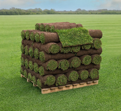 TurfWorld Premium Signature Lawn Turf 40m²
