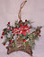Twig Wrapped Hanging Star with Poinsettia and Berry Frosted Décor