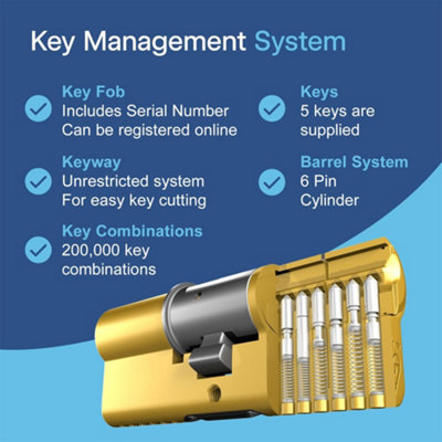 UAP High Security 3 Star Euro Lock Cylinder - 3 Keys, Cylinder Lock ...