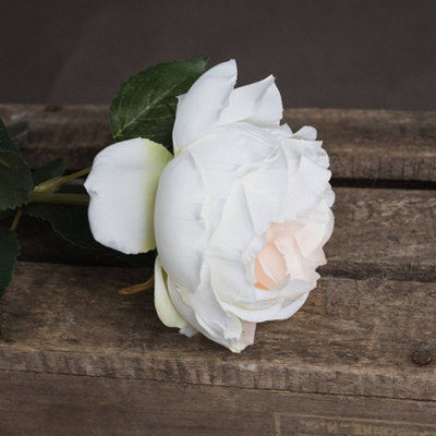 UK Homeliving Blush Garden Rose
