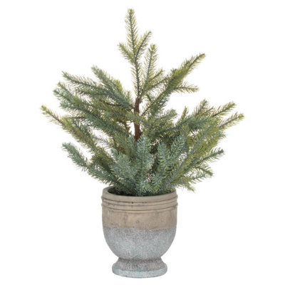 UK Homeliving Garda Pine Tree In Stone Pot | DIY at B&Q