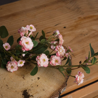 UK Homeliving Pink Wild Meadow Rose
