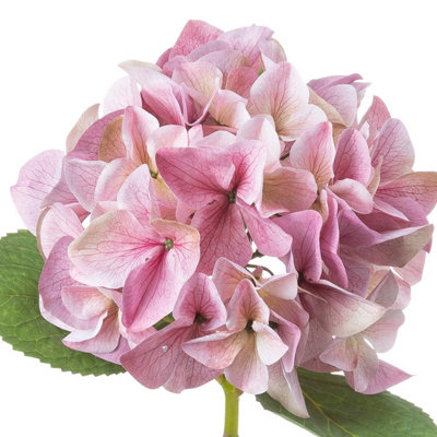 UK Homeliving Shabby Pink Single Hydrangea