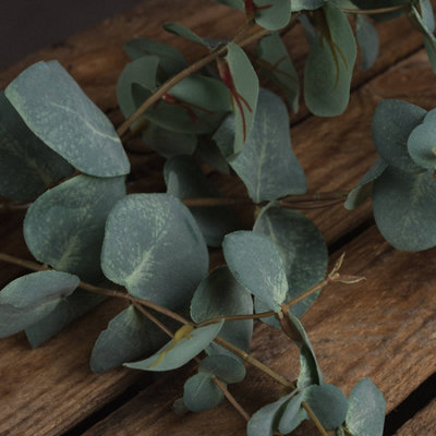 UK Homeliving Variegated Eucalyptus