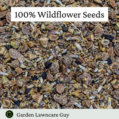 UK Native Wild Flower Seeds Mix 100g (50m²)