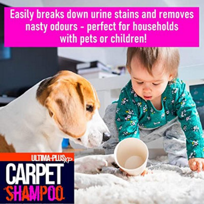 Ultima-Plus XP Carpet Cleaning Shampoo - High Concentrate Cleaning Solution for All Carpets Floral - 3