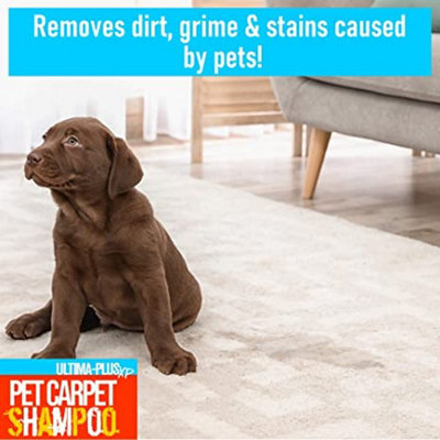 Ultima-Plus XP Pet Carpet Shampoo - Professional Carpet Cleaning Solution Perfect for Pet Owners Citrus - 5